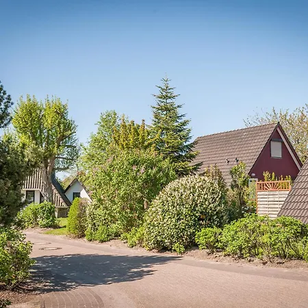 Mellumplate 12 دورم نيوفيلد