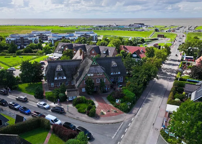 Mellumplate 12 دورم نيوفيلد