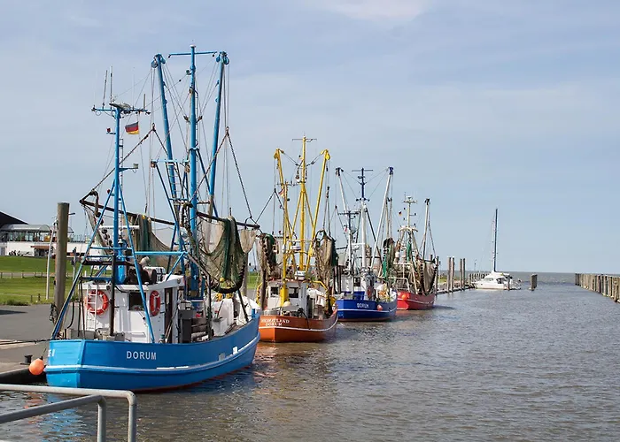 Mellumplate 12 بيت للعطل دورم نيوفيلد